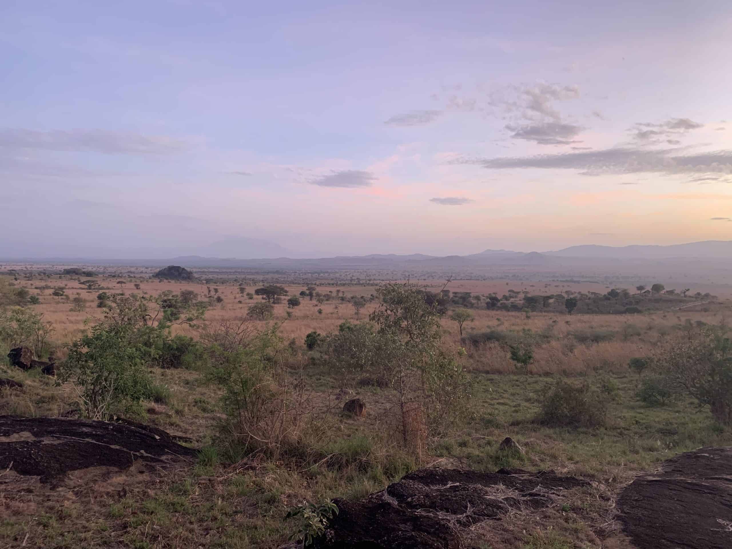 Landschap in Afrika